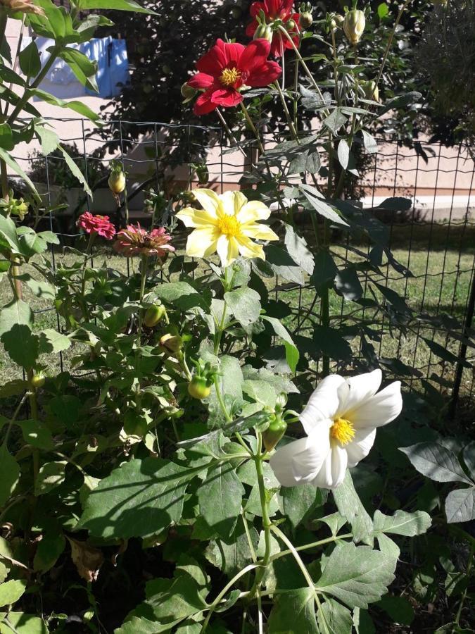 Apartman Mona Mostar Zewnętrze zdjęcie